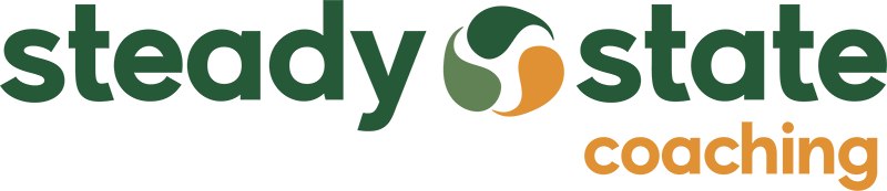 Steadystate Logo